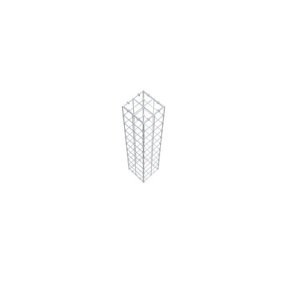 Schanskorf 100 cm x 20 cm x 20 cm (L x H x D), maaswijdte 10 cm x 10 cm, C-ring