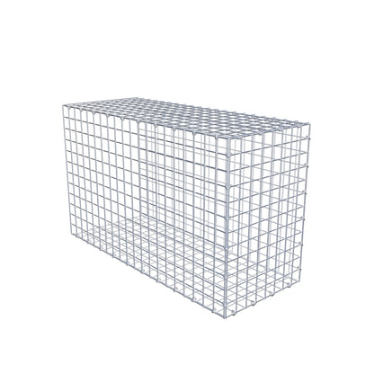 Type 2 oplegkorf 100 cm x 60 cm x 40 cm (L x H x D), maaswijdte 5 cm x 5 cm, C-ring