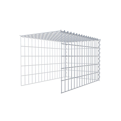 Grown-on gabion type 4 80 cm x 50 cm x 50 cm (L x H x D), mesh size 5 cm x 10 cm, spiral