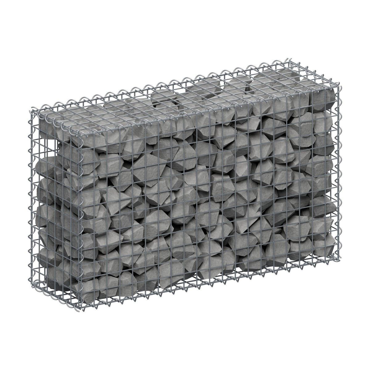 Gabion 100 cm x 60 cm x 30 cm (L x H x P), mailles 5 cm x 5 cm, spirale