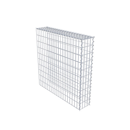 Opvokset gabion type 4 100 cm x 100 cm x 20 cm (L x H x D), maskestørrelse 5 cm x 10 cm, spiral